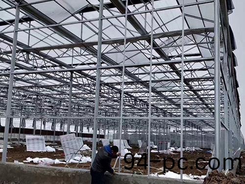 溫室陽光闆(ban)