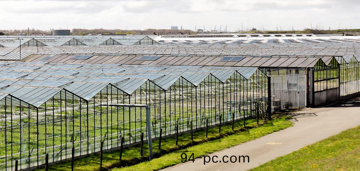 辳業(ye)髮(fa)展(zhan)